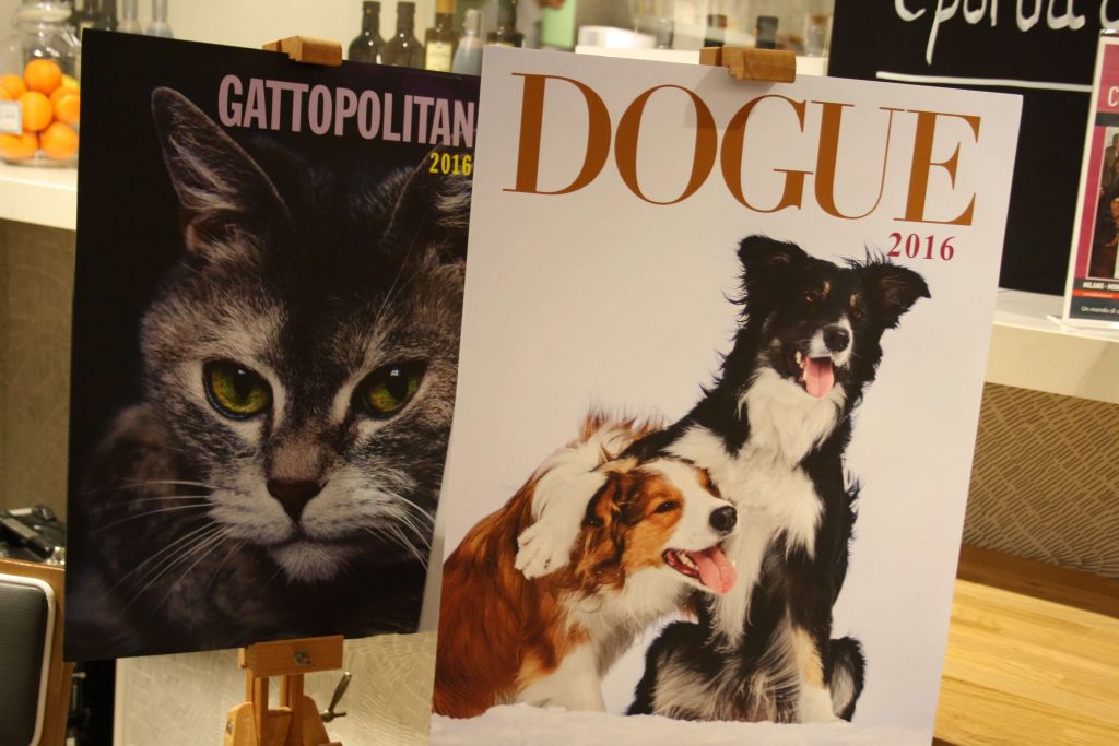 1 Agende Dogue & Gattopolitan 2016 in Mondadori Megastore