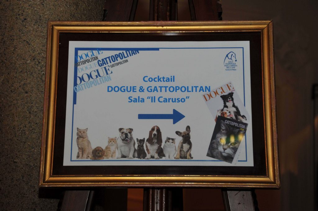 Cocktail Dogue & Gattopolitan
