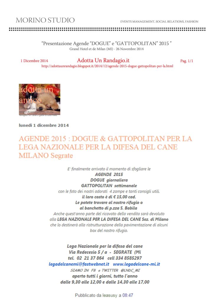 Adotta un randagio blog 01-12-2014